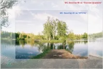 поводиться