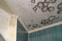 вивести