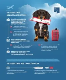 правил