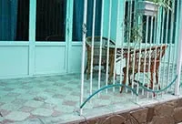 Кирилівка пансіонат ТРИ ТОВТЯКИ - ціни 2019, відгуки, фото товтяки