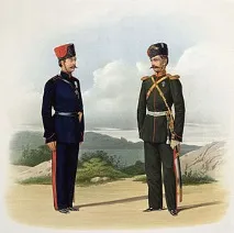 Козачі чини чини