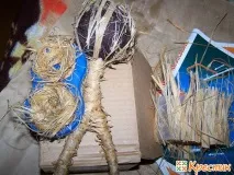 Кавовийтопіарій або кавове дерево своїми руками, Хрестик дерево