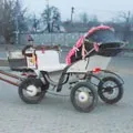 Кінний екіпаж - пошук слів за маскою та визначенням, відповіді на сканворди пошук