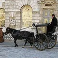 Кінний екіпаж - пошук слів за маскою та визначенням, відповіді на сканворди маскою