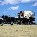 Кінний екіпаж - пошук слів за маскою та визначенням, відповіді на сканворди визначенням
