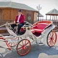 Кінний екіпаж - пошук слів за маскою та визначенням, відповіді на сканворди слів