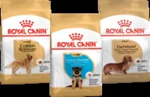 Корм для цуценят породи йоркширський тер’єр до 10 місяців Royal Canin Yorkshire Terrier породи
