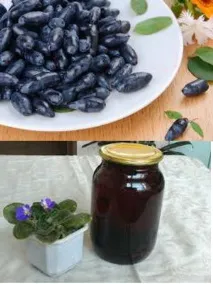компот
