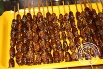 Короткий огляд китайської кухні китайської