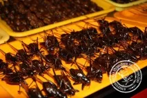 Короткий огляд китайської кухні короткий