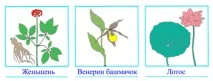 Червона книга, okrmir1234 okrmir1234
