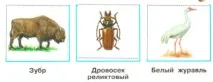 Червона книга, okrmir1234 книги
