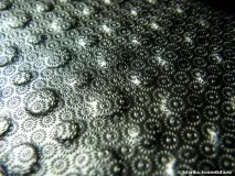 хвилин