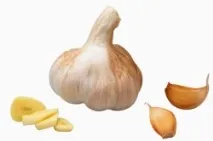 молюска