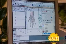 Лікування від паразитів гомеопатією у центрі - Адоніс адоніс