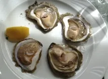 Лімський фіорд - місце в Хорватії, де можна скуштувати устриці фіорд