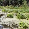 Човен () 6 букв - пошук слів за маскою та визначенням, відповіді на сканворди пошук