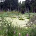 Човен () 6 букв - пошук слів за маскою та визначенням, відповіді на сканворди човен