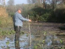 Лов на літню блешню - снасті, техніка лову снасті