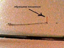 Лов на літню блешню - снасті, техніка лову снасті