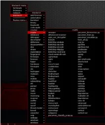 Улюбленець хакерів BlackArch, DefconRU улюбленець