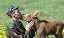 Міжнародний день захисту тварин цілі, історія та привітання захисту