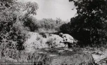 метеорит