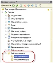 Модуль 1С модуля
