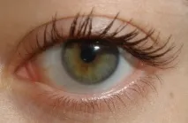 Мій апдейт від Make Up For Ever Євро