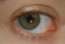 Мій апдейт від Make Up For Ever make