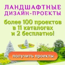 Найбільш підходящі види дерев та чагарників для газону підходящі