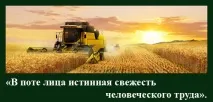 На віку, як на довгій ниві віку