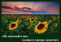 На віку, як на довгій ниві віку