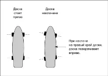 Справжня історія скейтбордингу історія