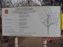 На Водниках продовжується будівництво естакади будівництво