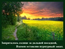 На віку, як на довгій ниві віку