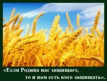 На віку, як на довгій ниві віку