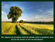 На віку, як на довгій ниві довгій