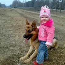 Німецька вівчарка та дитина німецька