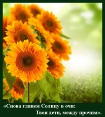 На віку, як на довгій ниві віку