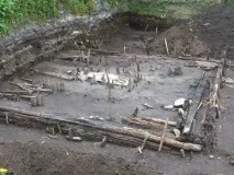 Цікаві місця дерев