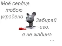 Нові смішні статуси про кохання кохання