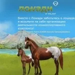 Онлайн ігри про коней - Ігри про коней ігри
