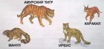 Навколишній світ 3 клас навколишній
