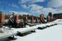 Вони загинули у Сирії Іван