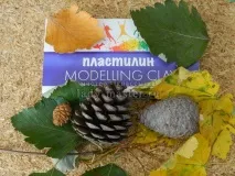 олень
