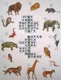 Навколишній світ 3 клас світ