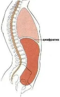 първа