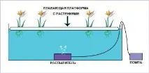 страница