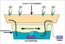 страница